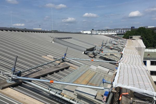 15026-2305-10007B23B3EA-0630-87D4-C304-56A724DA6B95.jpg